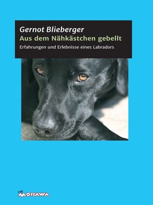cover image of Aus dem Nähkästchen gebellt